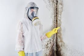 Professional Mold Remediation in Central Point, OR